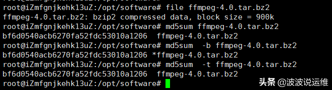 Linux命令详解：md5sum--查看文件MD5值
