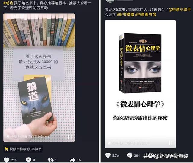 在家操作就能赚钱的偏门项目分享，心理测试项目