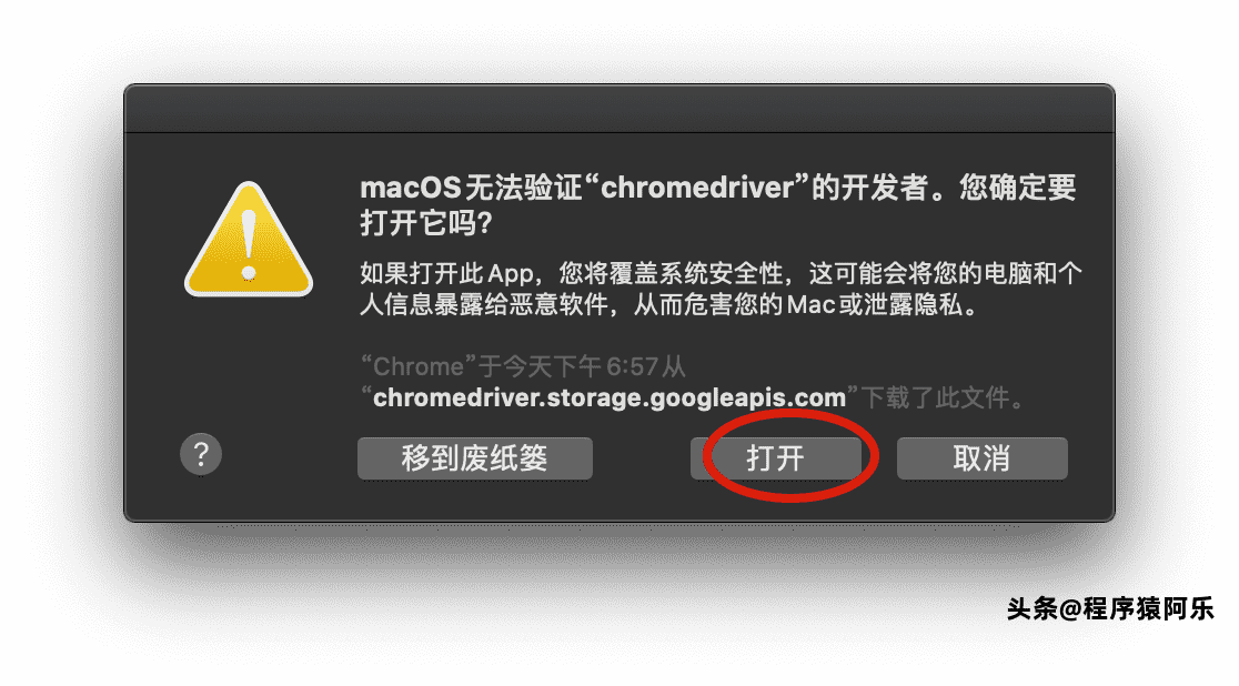 安装chromedriver的两种方法