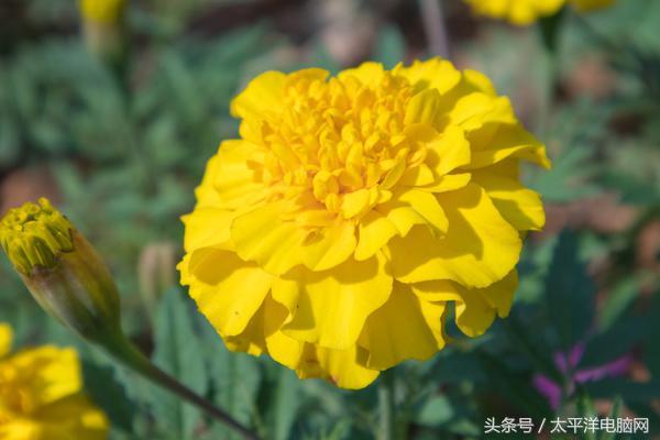 年轻玩家的第一台单电相机！佳能EOS M100评测