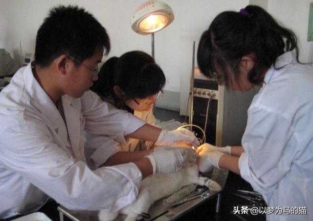 就业率高的8大“冷门专业”，毕业生找工作较容易，填报可参考