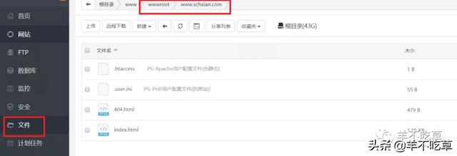 如何建立自己得网站（零基础小白教程）