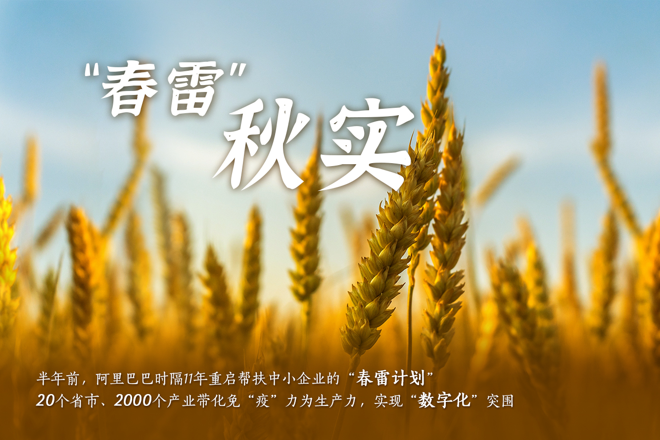 头部主播影响力超乎想象，李佳琦的狗都能赚钱了