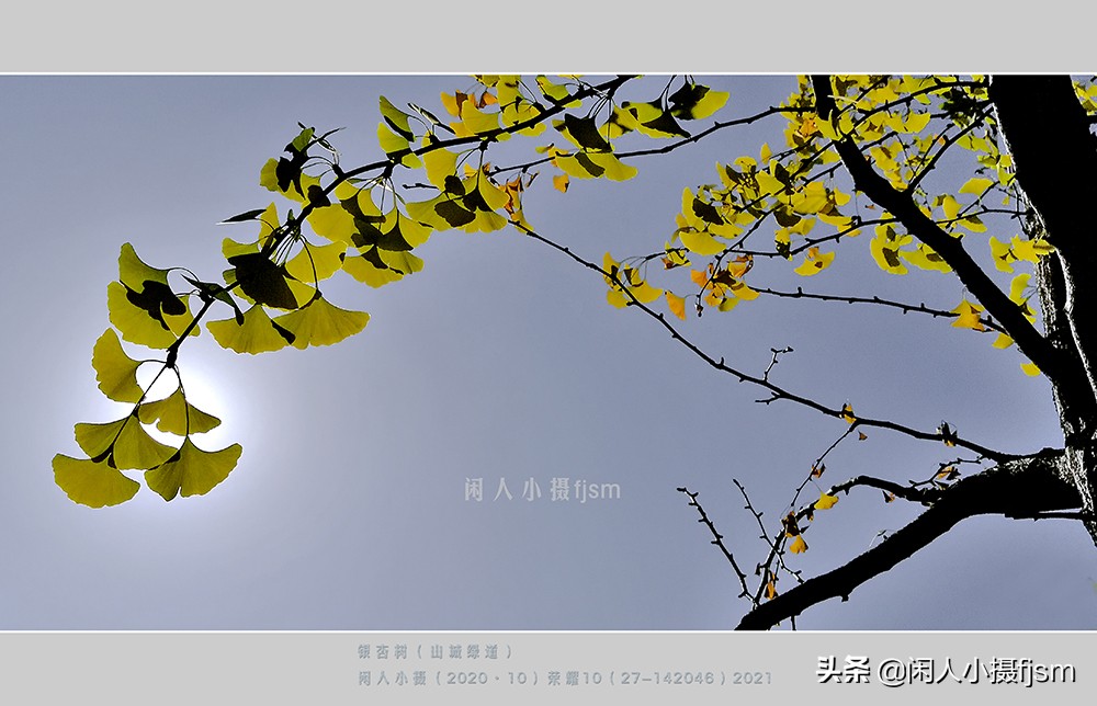 聊手机摄影1：说说手机三种照片分辨率，3:4，9:16，全屏的拍摄