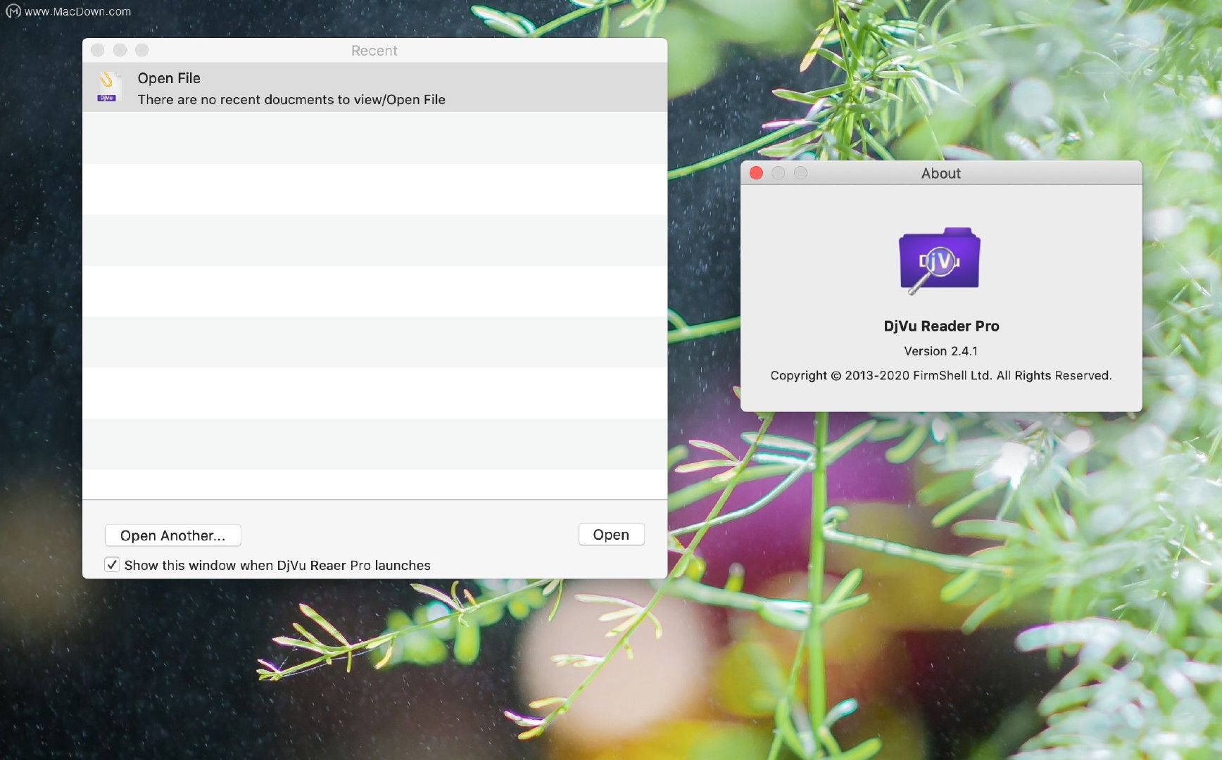 DjVu Reader Pro Mac(好用的阅读软件)