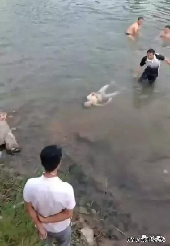 什么才是正确的价值观？