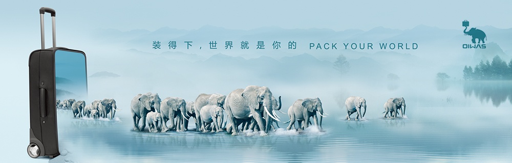 品牌营销策划案例分析——爱华仕