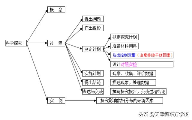 初中生物知识点梳理——思维导图，清晰得不要不要的！
