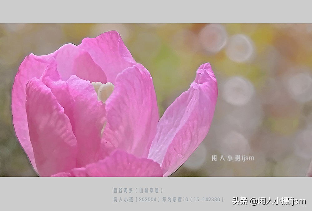 聊手机摄影1：说说手机三种照片分辨率，3:4，9:16，全屏的拍摄