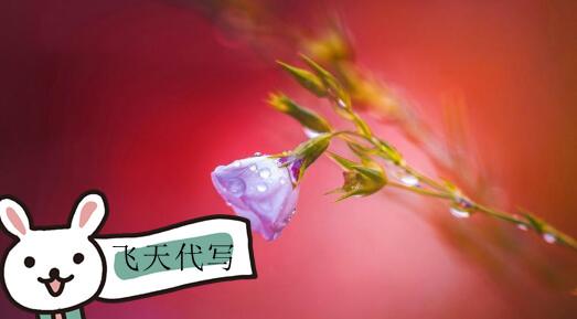 软文推广技巧有哪些？