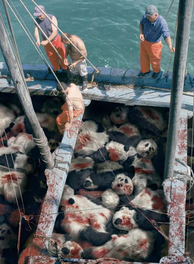 这些宣传广告，每一幅都震撼人心