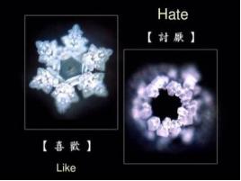 水真的什么都知道？关于江本胜《水知道答案》一书的思考
