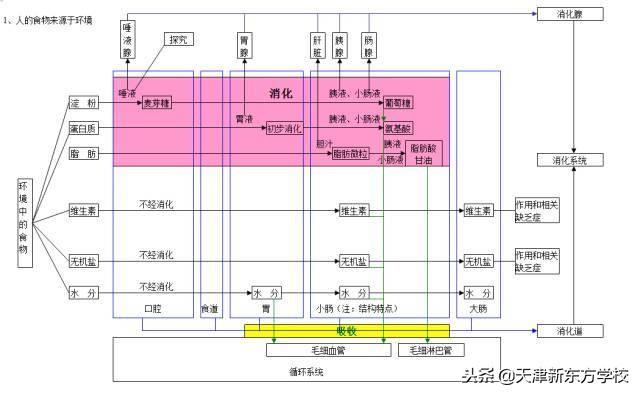 初中生物知识点梳理——思维导图，清晰得不要不要的！