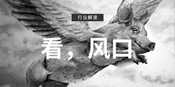 小程序开发者：为什么要做小程序？