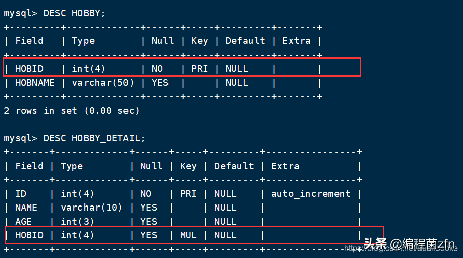 MySQL 数据库 增删查改、克隆、外键 等操作