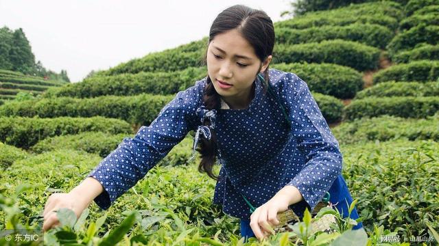 如何才能赚大钱？请先牢记人性的7大要点