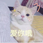 在手机上图片如何修改尺寸？学会这招，轻松修改图片尺寸