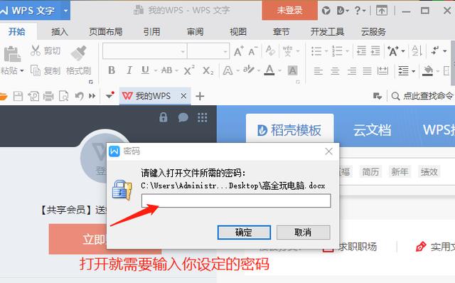 WPS Office 文档加密方法