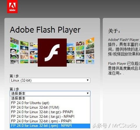 NPAPI为什么被淘汰