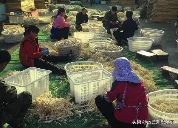 淘宝卖家的故事：三十而立的他，为了梦想放弃铁饭碗在淘宝创业