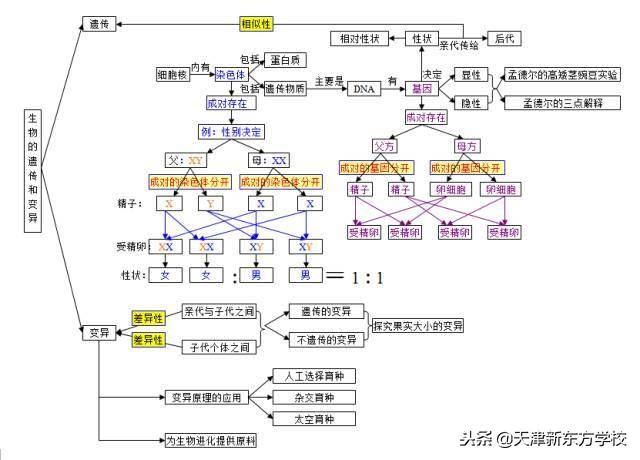 初中生物知识点梳理——思维导图，清晰得不要不要的！