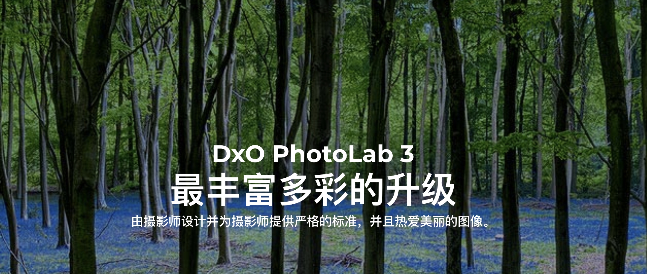 最好的专业照片处理软件合集，7个发挥创意的工具
