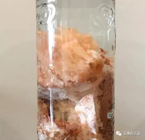 什么是太岁？什么叫做犯太岁？关于太岁的两种完整说明解释
