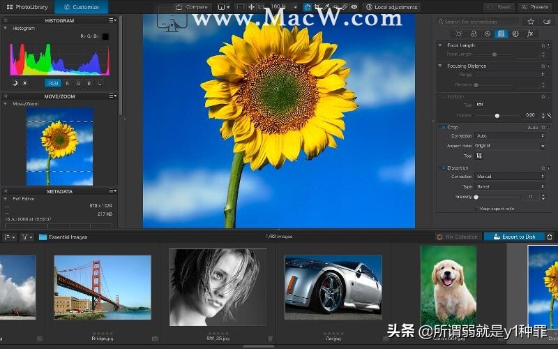 适用于Mac的最佳照片编辑软件