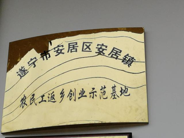 返乡农民工回乡创业让村民乐开了花！