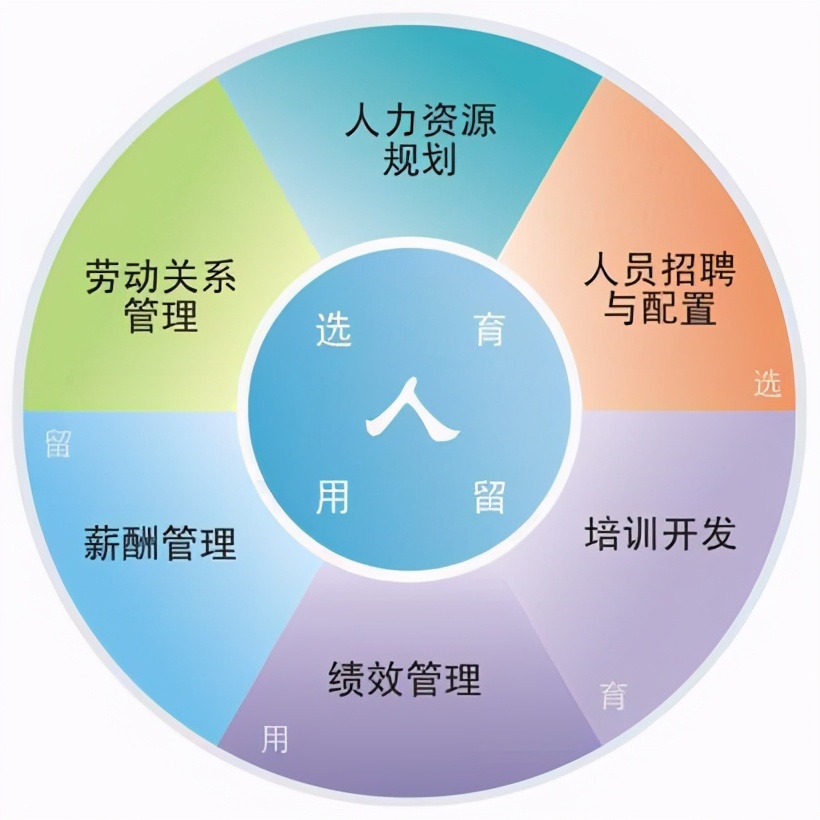 职场百科：人力资源证书怎么考？人力资源证书考试考什么