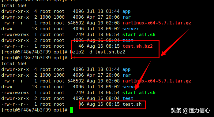 Linux解压缩tar.gz、zip、rar等6种常见文件（实践整理）