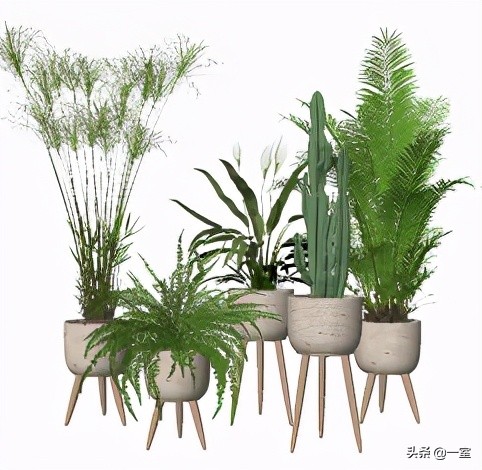 SU，效果图界的天花板