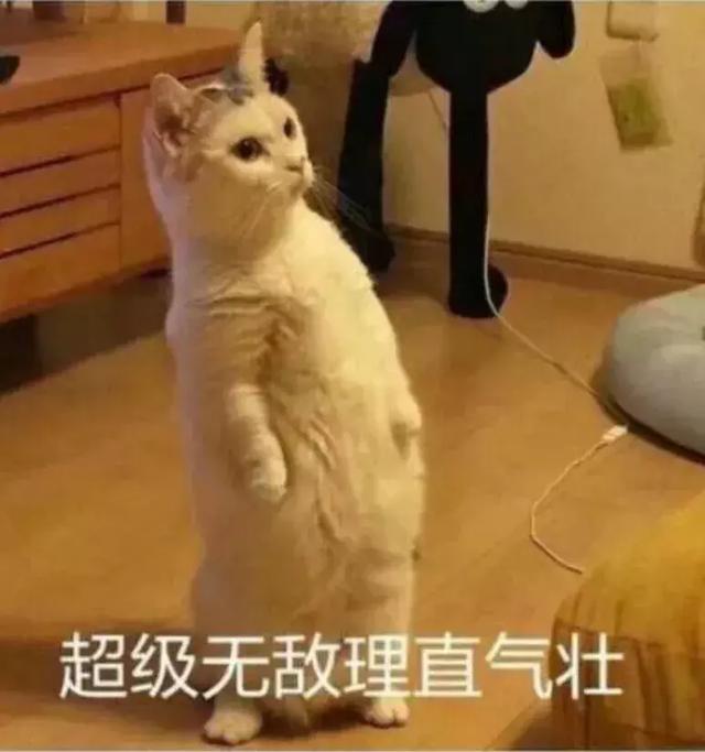 404 not found，到底是怎么一回事？