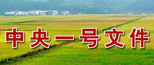 2019年，农民回乡创业，可在这些方面下功夫，成功机率很大