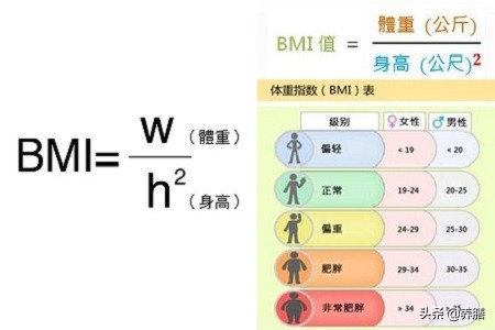 减肥，别着急！BMI这个“纤体指标”你搞懂了吗？