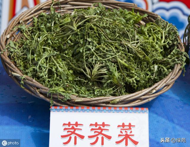 2020年农民工返乡选啥项目创业？这4个千万不要错过！机遇难得
