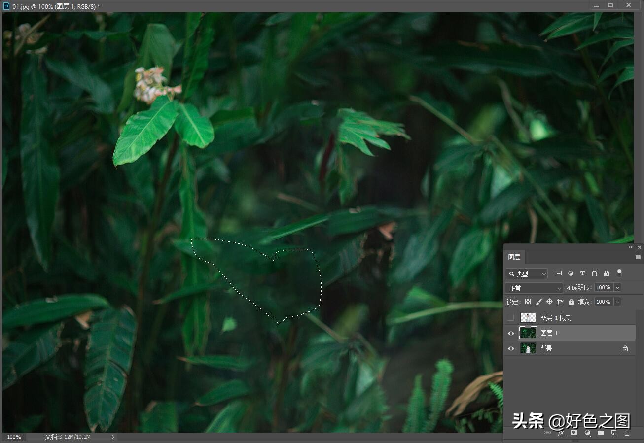 使用PS软件场景模糊制作浅景深 突出主体的好方法