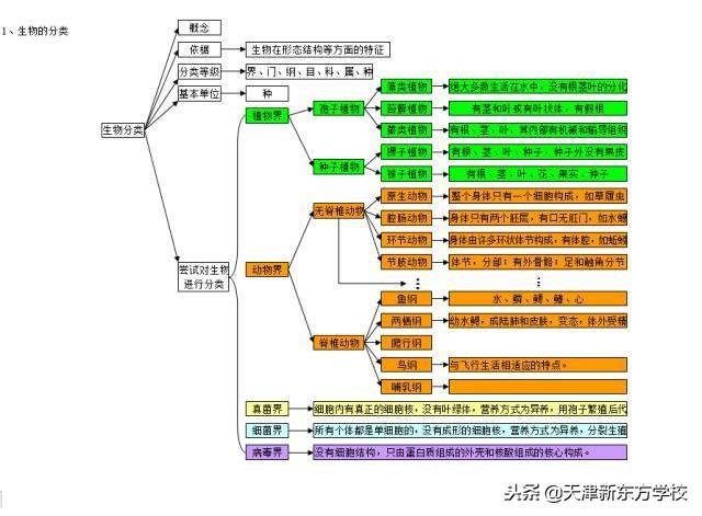 初中生物知识点梳理——思维导图，清晰得不要不要的！