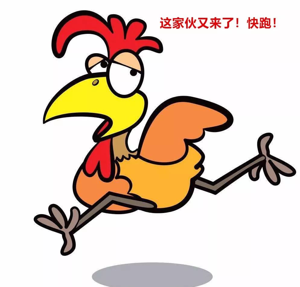 科普：“打鸡血”一词是怎么来的？