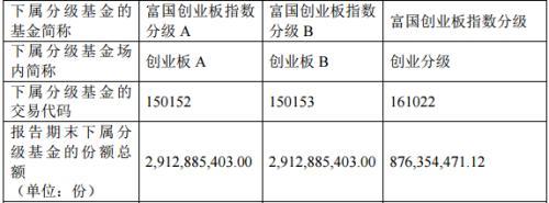 读懂富国创业板指数分级 这一篇就够啦