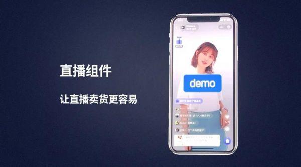 云蚁科技在2020年微信公开课：直播+小程序将成社交电商新标配
