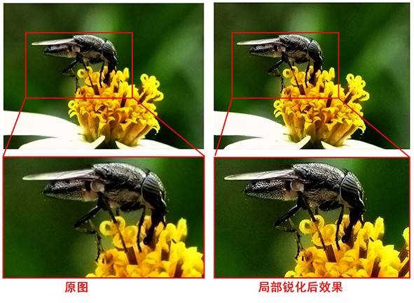 简单粗暴，用PS快速拯救照片