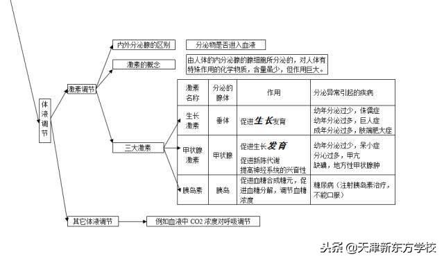 初中生物知识点梳理——思维导图，清晰得不要不要的！