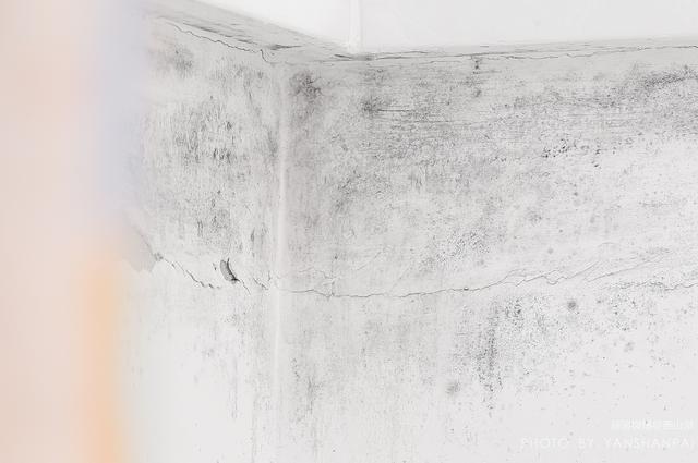 干衣机衣物消毒效果怎么样？说说小天鹅干衣机使用感受