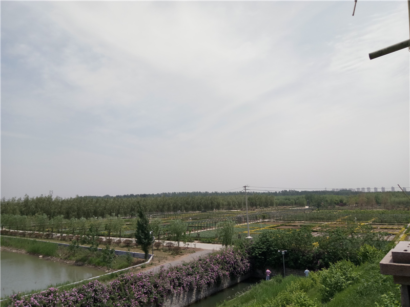 乐视手机乐2评测：千元机市场中的最佳之选