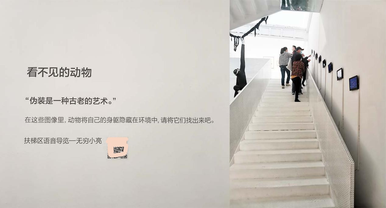 获客从触动你的用户开始，经典创意营销案例分析