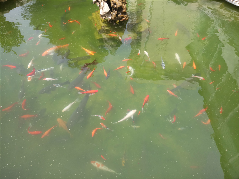 乐视手机乐2评测：千元机市场中的最佳之选