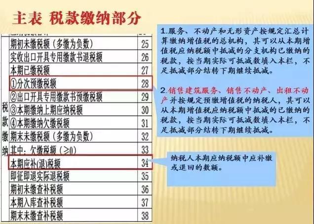 一般纳税人增值税申报流程详解
