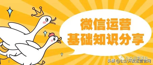 微信公众号怎么做？微信运营基础知识分享