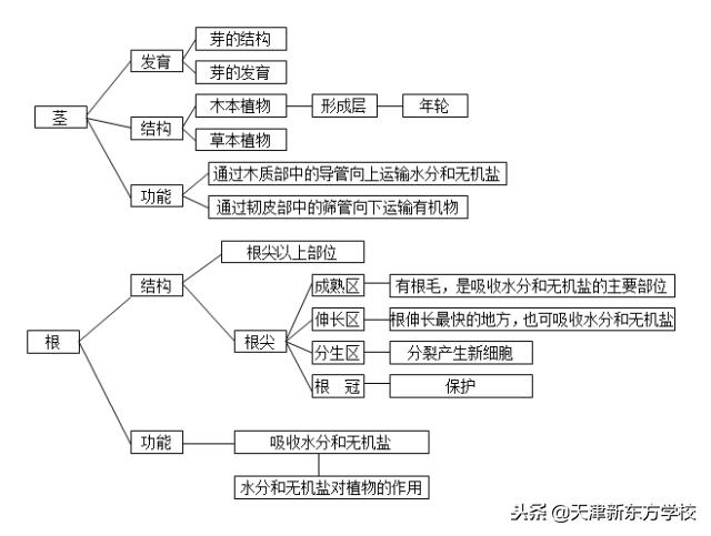 初中生物知识点梳理——思维导图，清晰得不要不要的！